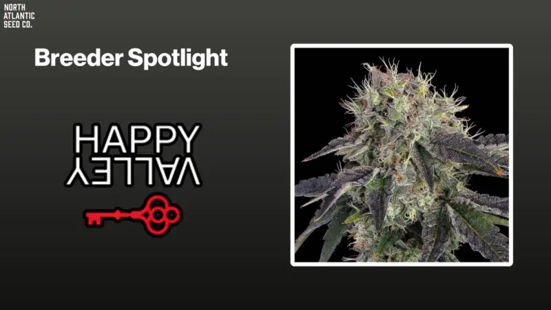 Happy Valley Genetics Breeder Spotlight