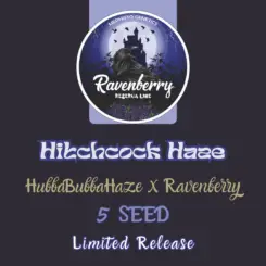 Hitchcock Haze Cannabis Seeds by Mephisto Genetics