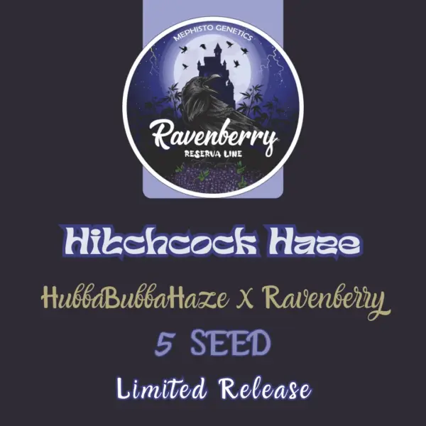 Hitchcock Haze Cannabis Seeds by Mephisto Genetics