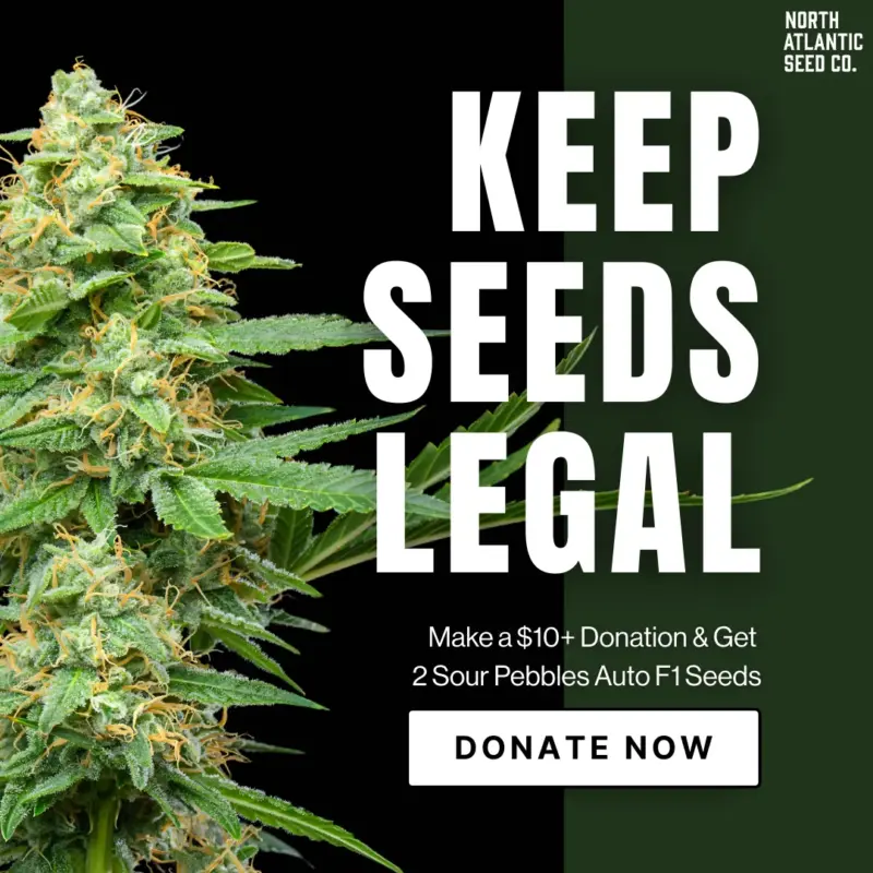 Keep Seeds Legal - Sour Pebbles F1 Auto $10 Donations