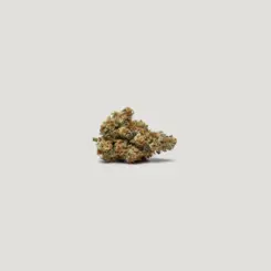 Lemon Cherry Tarts Cannabis Seeds by Purple City Genetics