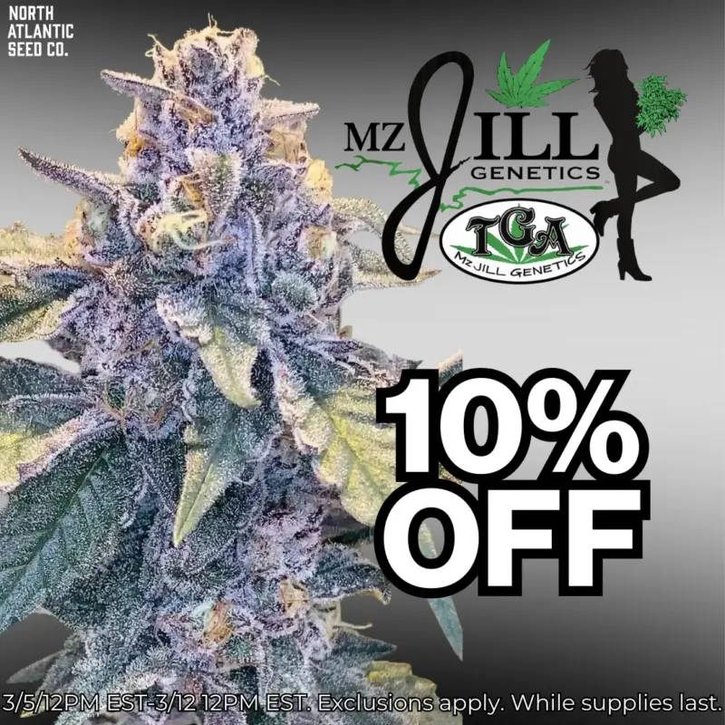 MZ Jill Genetics Image
