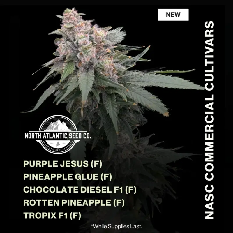 NASC Commercial Cultivars