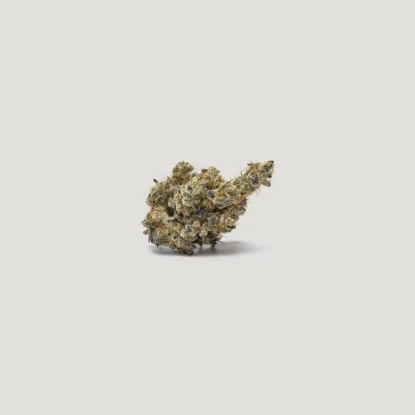 NorCal Sour Z Cannabis Seeds by Purple City Genetics