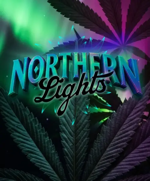 Northern Lights Cannabis Seeds by Barney's Farm