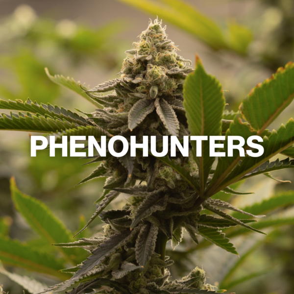 Phenohunters