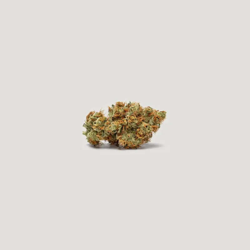 Papaya Plum Auto Cannabis Seeds by Purple City Genetics