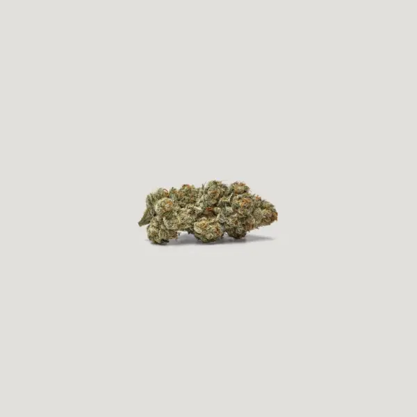 PermaMints Cannabis Seeds by Purple City Genetics