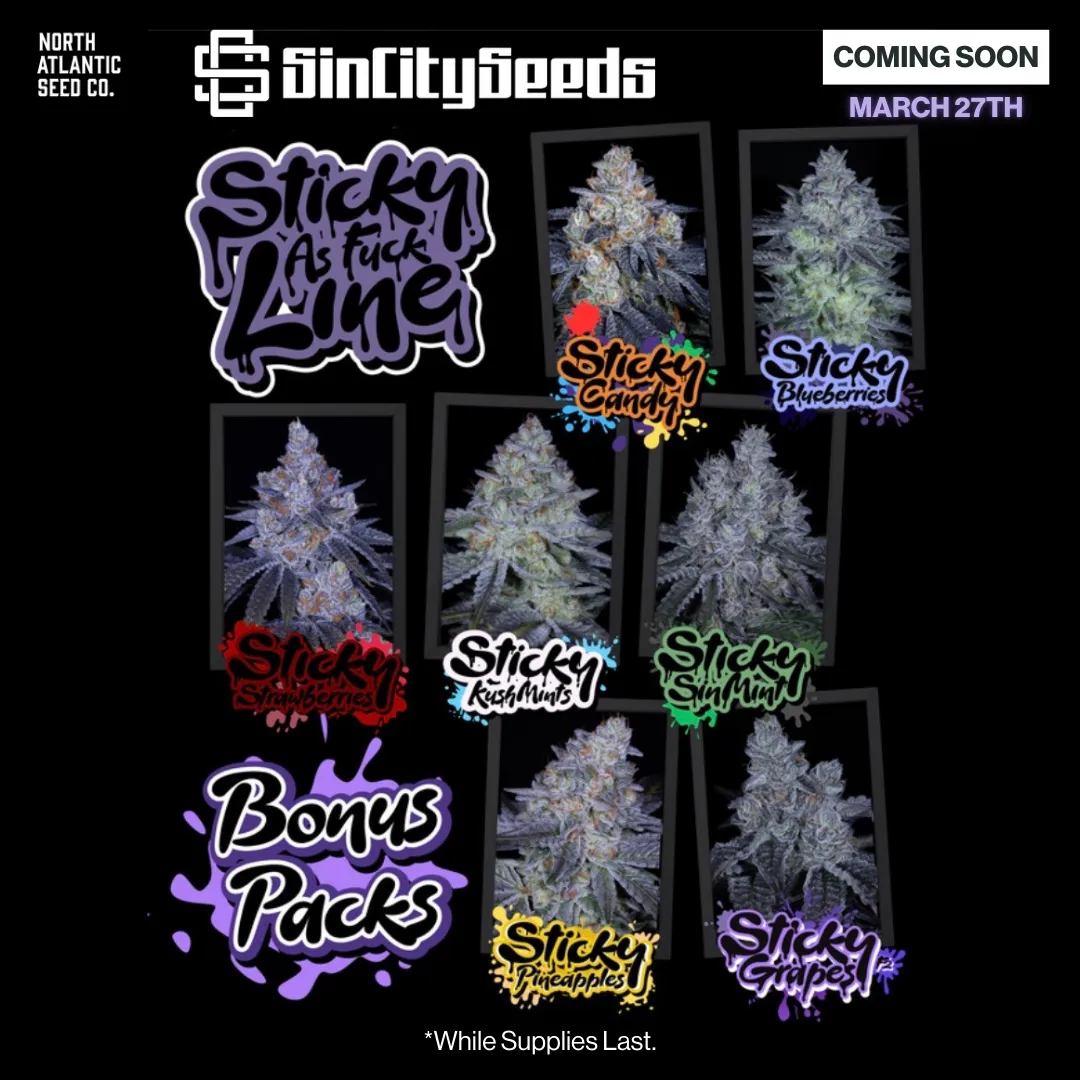 Sin City Seeds Sticky as Fuck Line
