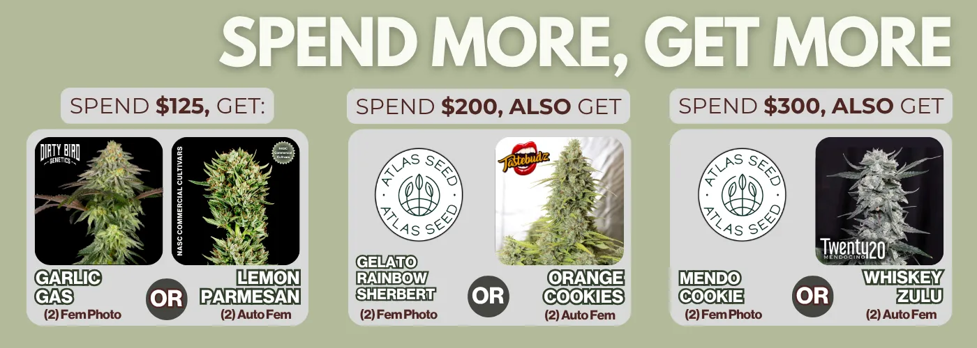 Spend More Get More March 2026