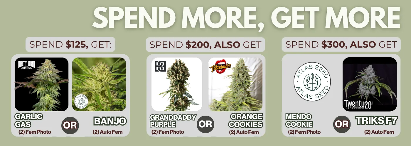 Spend More Get More 3/27/26