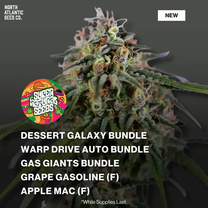 Supernatural Seeds New Packs 2026