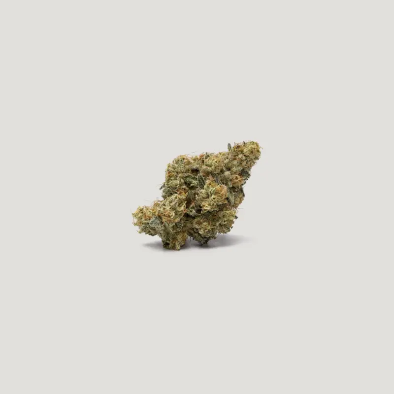 Skyline OG Cannabis Seeds by Purple City Seeds