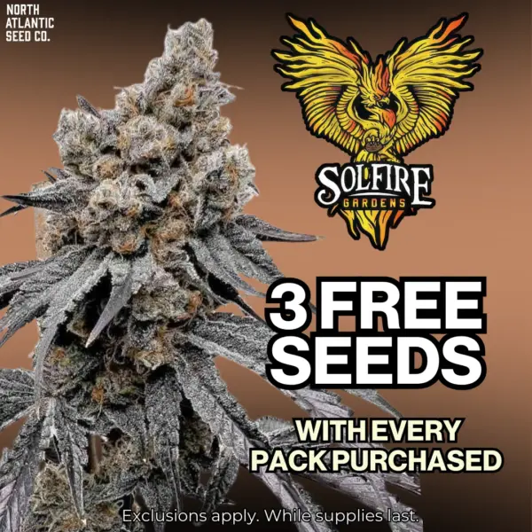 Solfire Gardens