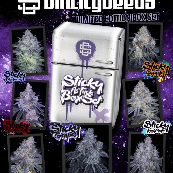 Sticky as Fuck Box Set Cannabis Seeds by Sin City Seeds