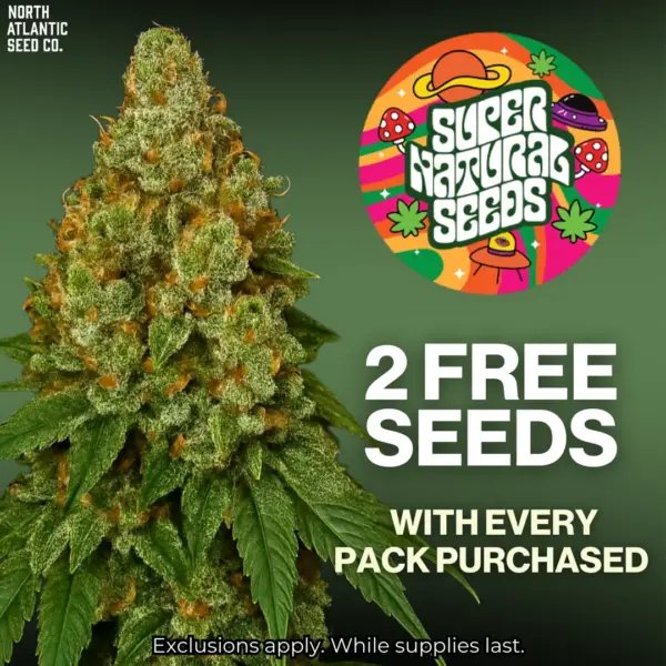 Supernatural Seeds
