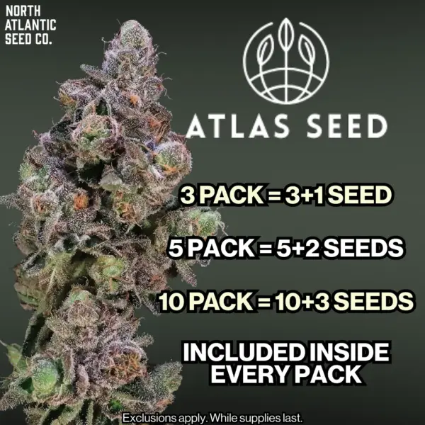 Atlas Seed