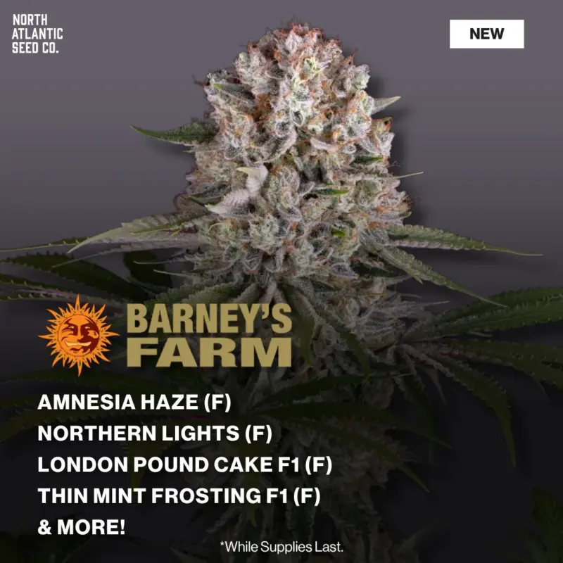 Barney's Farm April 2026 Drop