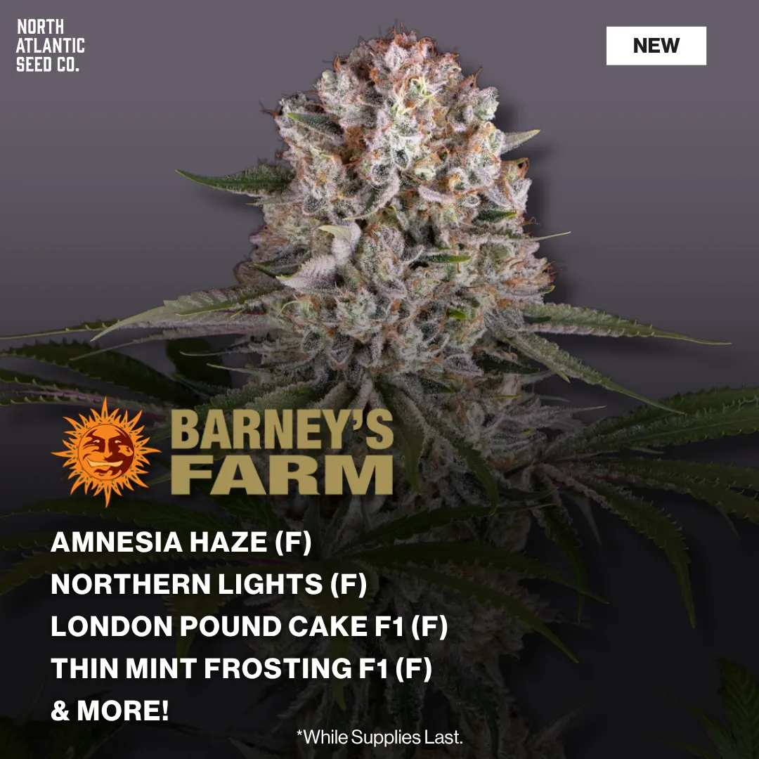 Barney's Farm April 2026 Drop