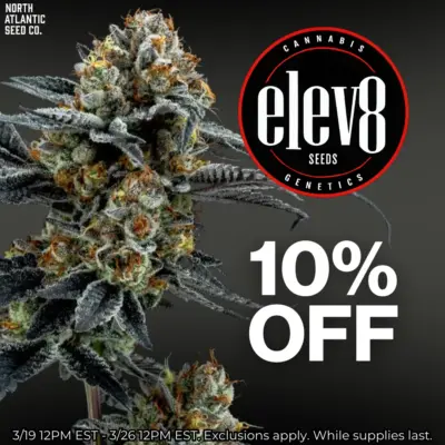 Elev8 Seeds