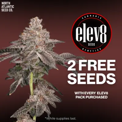 Elev8 Seeds