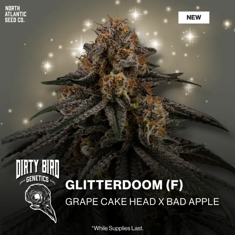 Dirty Bird Genetics - Volume Series