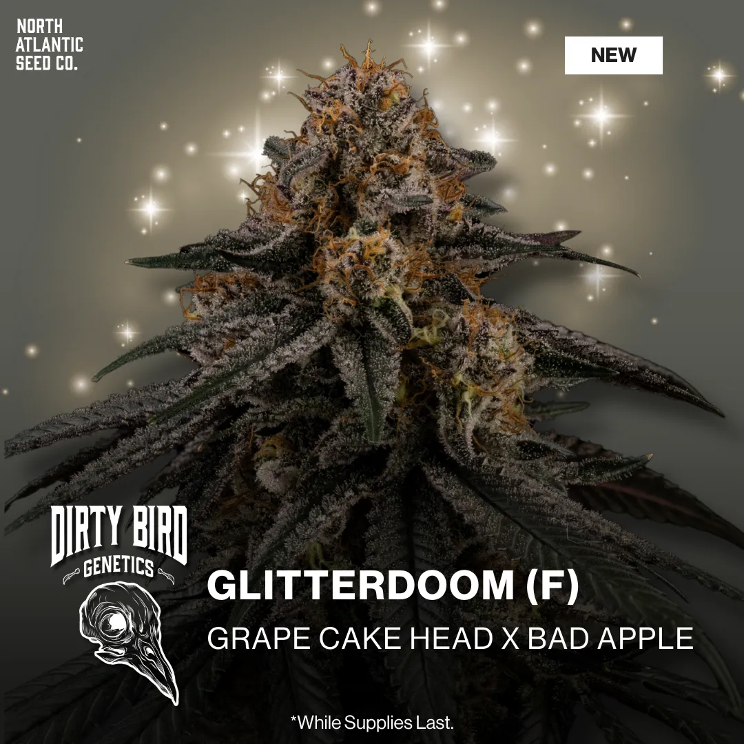 Dirty Bird Genetics - Volume Series