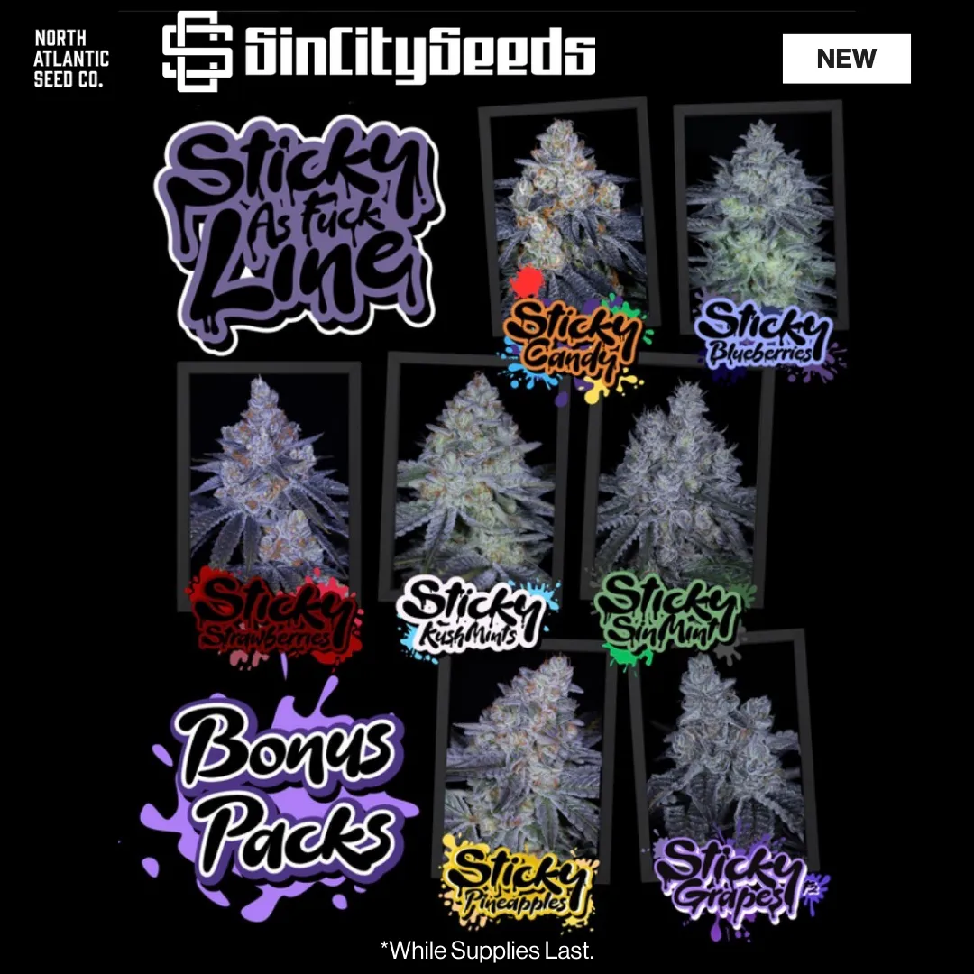Sin City Seeds Sticky as Fuck Line