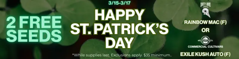 St. Patrick's Day 2026 Banner