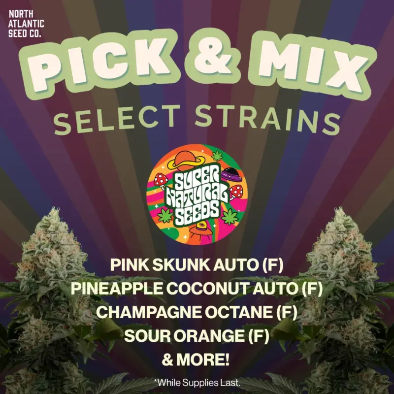 Supernatural Seeds Pick and Mix