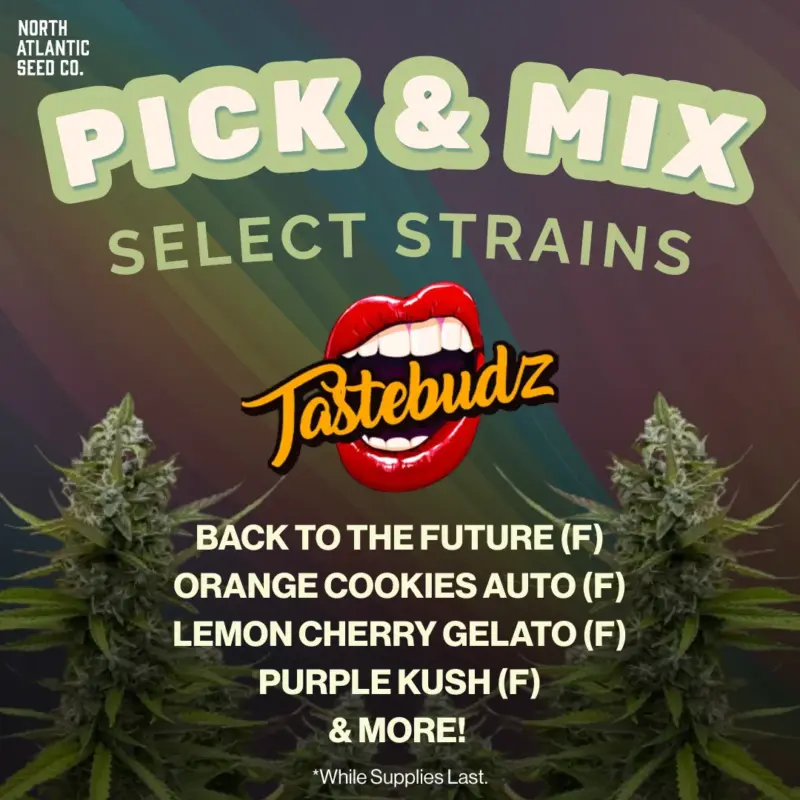 Tastebudz Pick and Mix