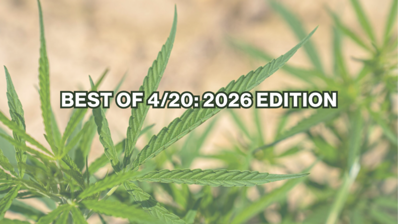 BEST OF 4/20: 2026 EDITION