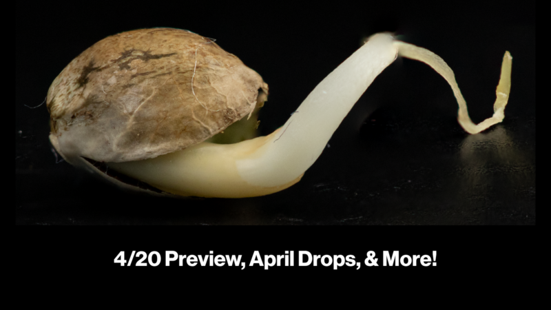 4/20 Preview, April Drops, & More!