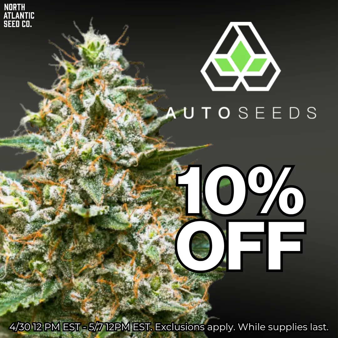 Auto Seeds