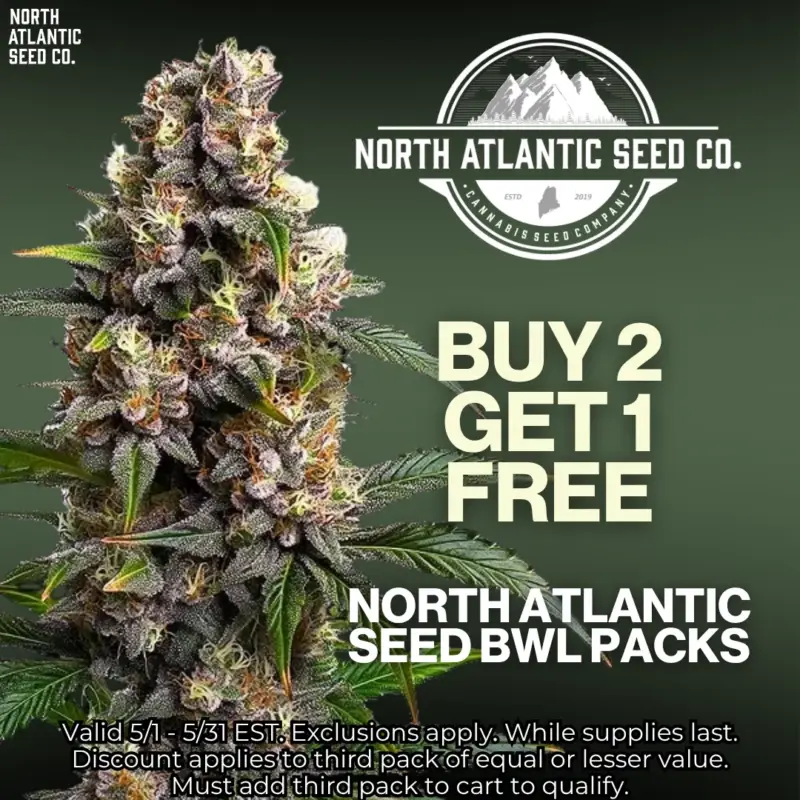 North Atlantic Seed - BWL Image