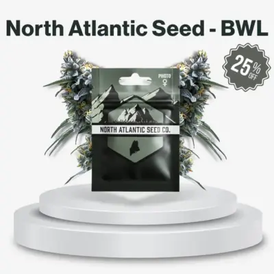 North Atlantic Seed - BWL