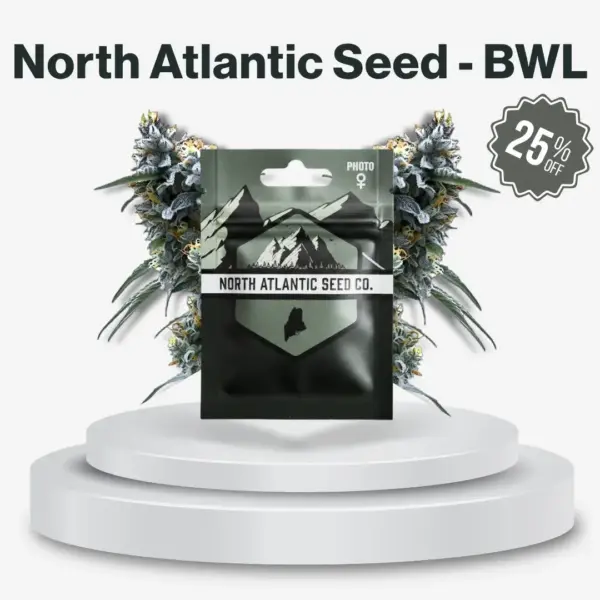 North Atlantic Seed - BWL