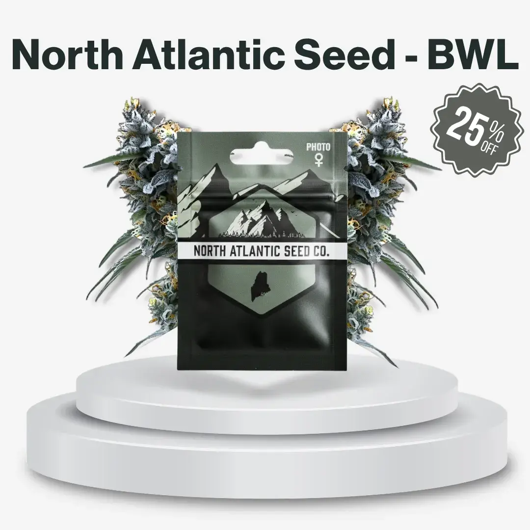 North Atlantic Seed - BWL
