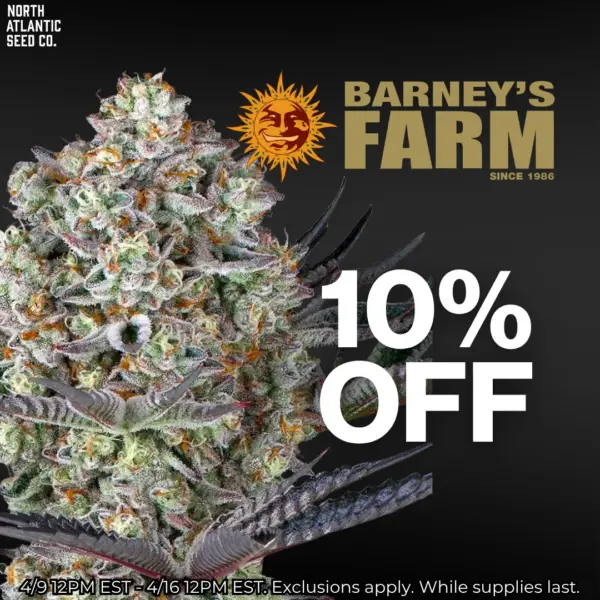 Barney's Farm 10% OFF