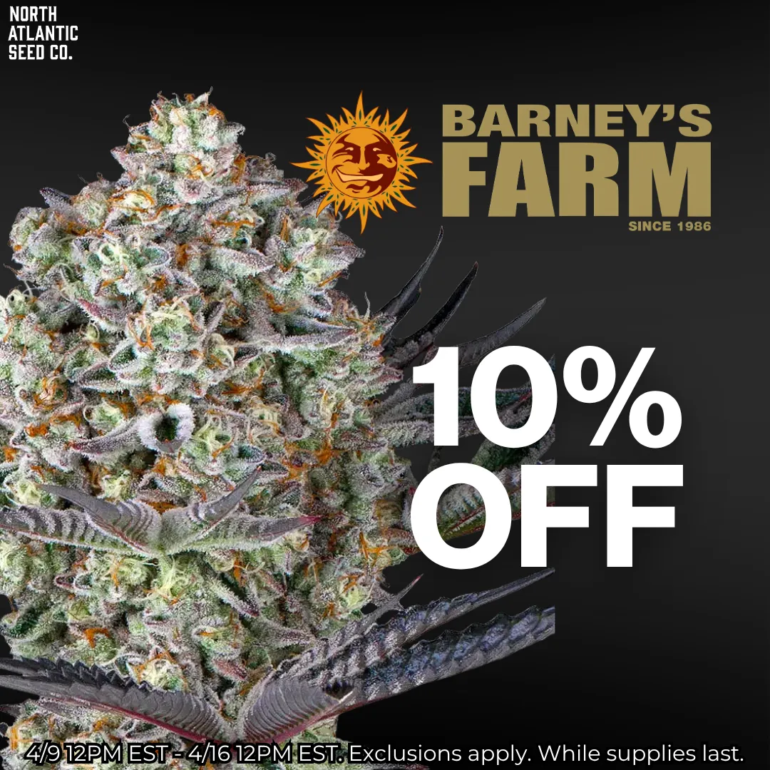Barney's Farm