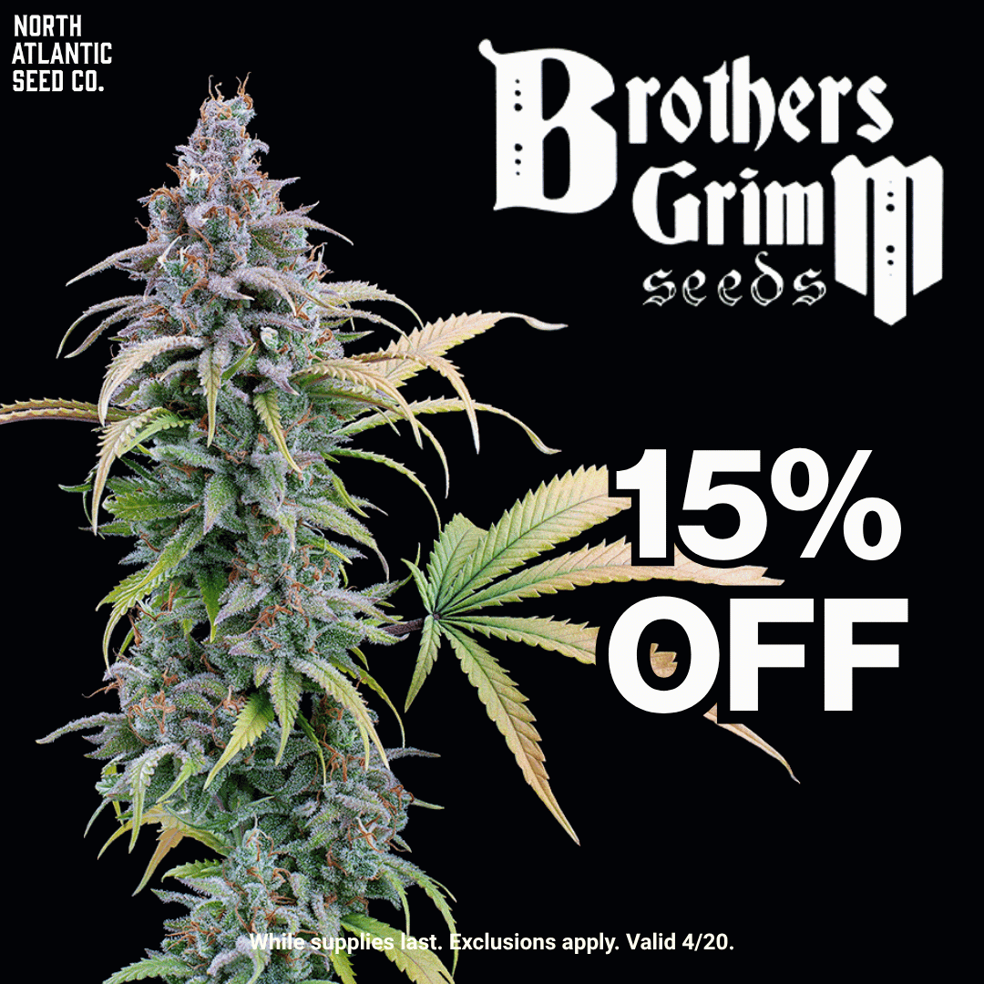 Brothers Grimm Seeds