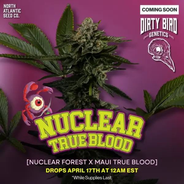 Dirty Bird Genetics - Volume Series