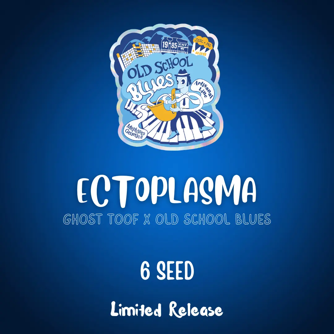 Ectoplasma Auto