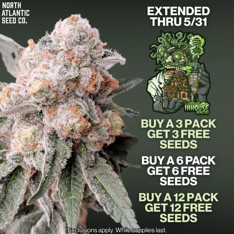 In House BOGO Extended thru May