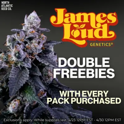 James Loud Genetics