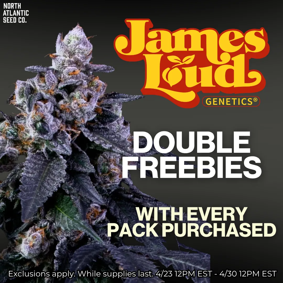 James Loud Genetics