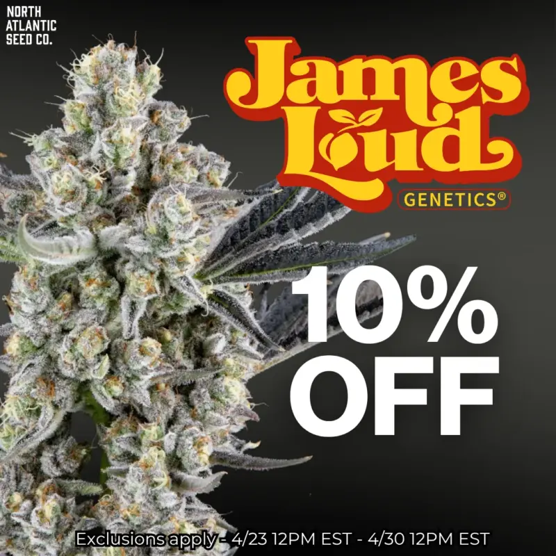 James Loud Genetics Image