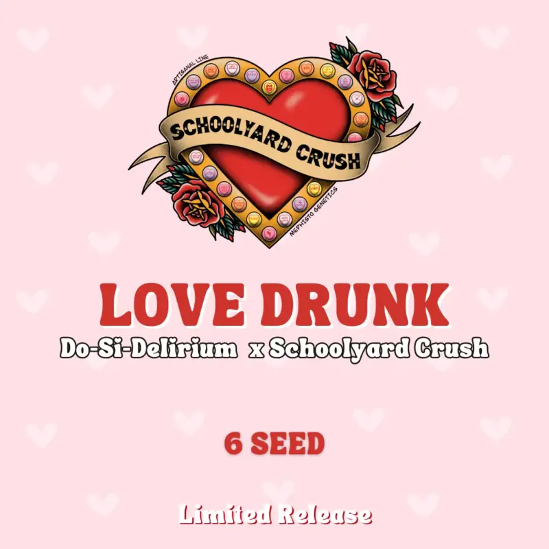 Love Drunk Cannabis Seeds by Mephisto Genetics