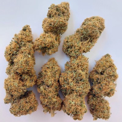 Magic Carrot Reg Cannabis Seeds by Ace Seeds