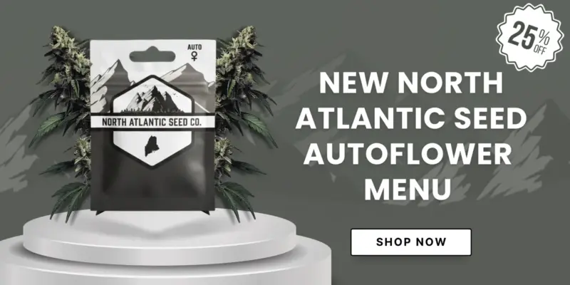 NASC BWL 25% OFF Autoflowering Banner